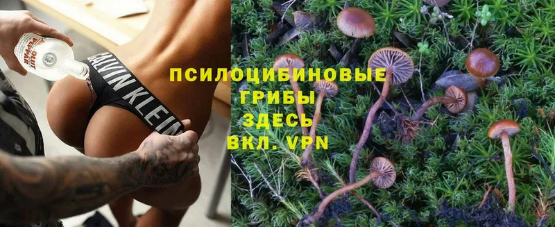 Галлюциногенные грибы Magic Shrooms  Орлов 